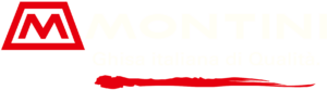 Montini_logo Montini_logo